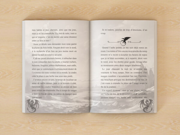 la Griffe du Dragon – Image 3